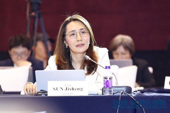 道正网 外交学院副院长孙吉胜建议给国际组织提供切实支持：一个具体的问题领域可将更多国家联系在一起