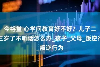 今裕堂 心学问教育好不好？儿子二十三岁了不听话怎么办_孩子_父母_叛逆行为