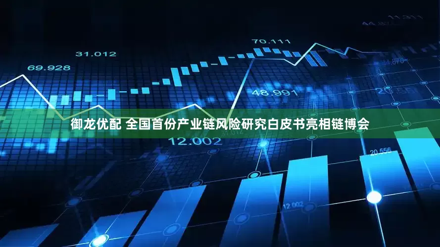 御龙优配 全国首份产业链风险研究白皮书亮相链博会