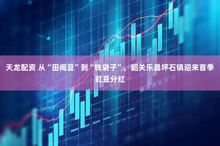 天龙配资 从“田间豆”到“钱袋子”，韶关乐昌坪石镇迎来首季豇豆分红