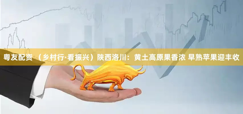 粤友配资 （乡村行·看振兴）陕西洛川：黄土高原果香浓 早熟苹果迎丰收