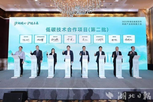 九融配资 环沙湖双碳经济带再上新 武昌赴上海签回23个涉碳项目